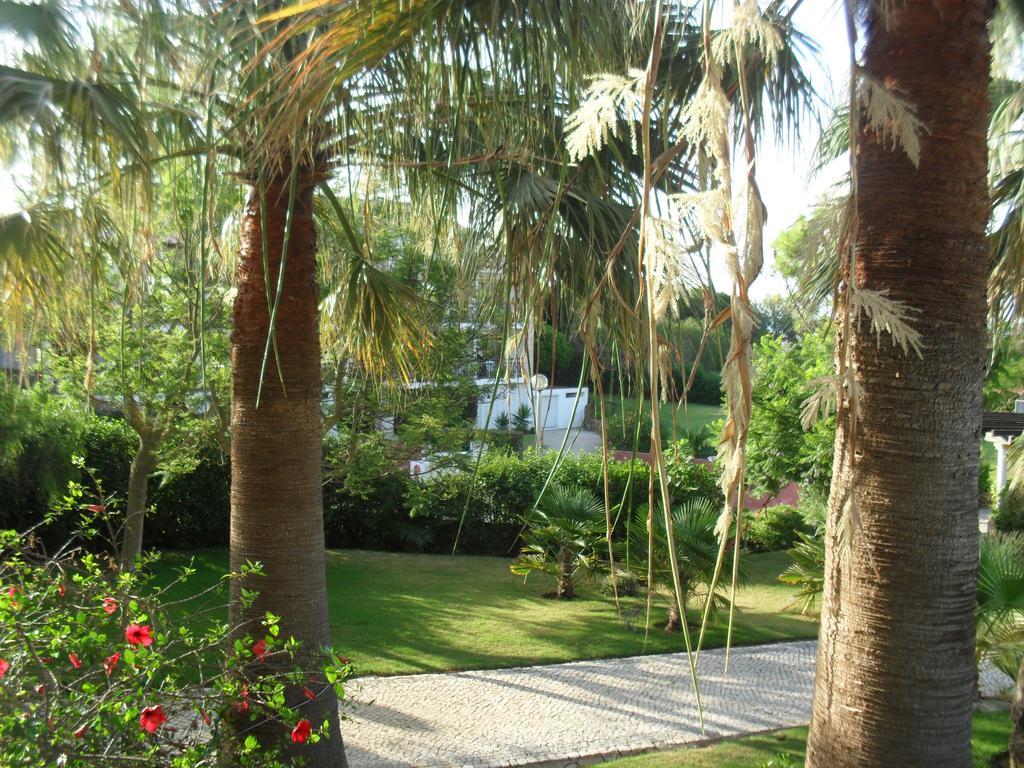 Luzmar Villas מראה חיצוני תמונה
