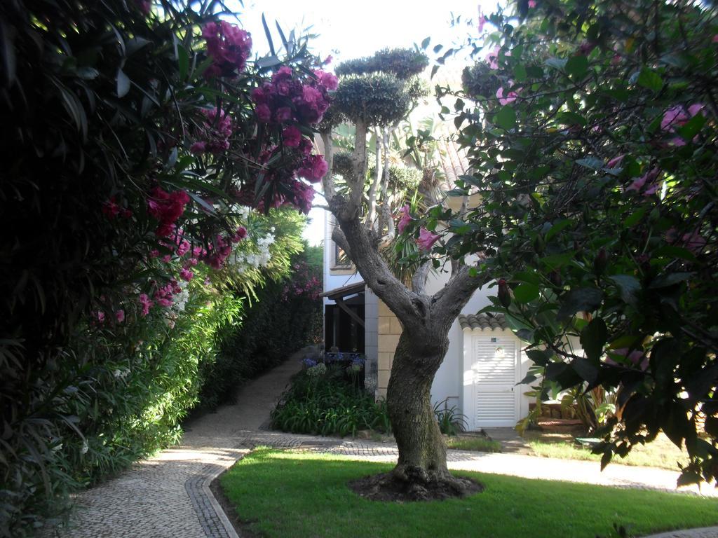 Luzmar Villas מראה חיצוני תמונה